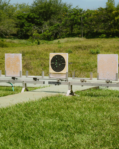 Spieth Stationary Turning Target System